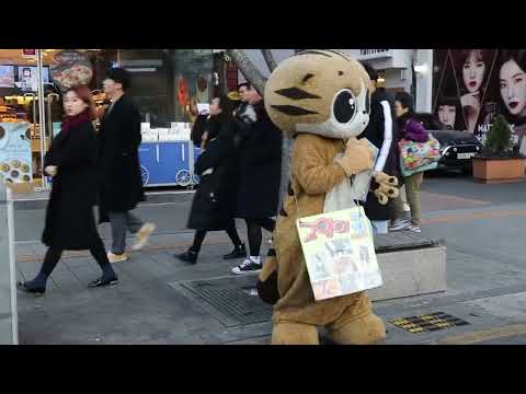 JHKTV] 신촌 명물고양이외로울때는  shin chon special <strong>cat</strong> <strong>Come</strong> see me when you&amp;#39;re lonely