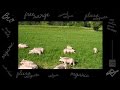 bioiscool salumificiopedrazzoli freerange - fr