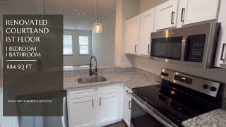 Renovated 1st Floor Cortland Floor-plan - 1 bed 1 bath  