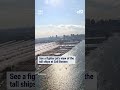 See a fighter jet's view of the tall ships at Sail Boston
