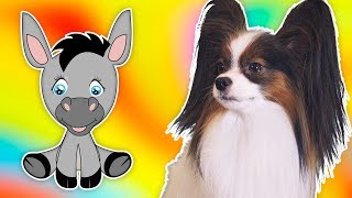 ПРАНКИ над СОБАКОЙ! Веселый ЮКИ и 4 СМЕШНЫХ ПРАНКА! ПРАНКИ над СОБАКОЙ! Веселый ЮКИ и 4 СМЕШНЫХ ПРАНКА!