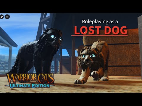 Roleplaying as a LOST DOG | Warrior Cats; Ultimate Edition