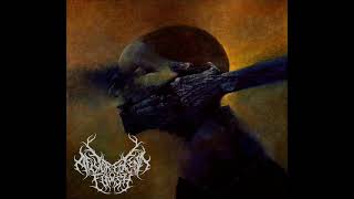 A Fluorescent Finish - Cold Reality