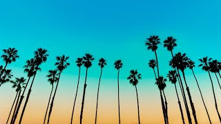 40 - Andrew Luster Net Worth