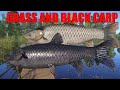 Russian Fishing 4 RF4 Old Burg Lake Spot Black Carp and Grass