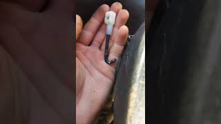 Vaz 2106-Da Qaz Pedalını Özüm Təmir Etdim