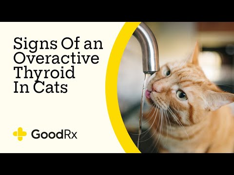 7 Signs Of