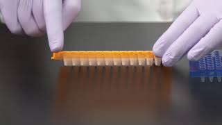 Learn How to Choose a PCR Plate