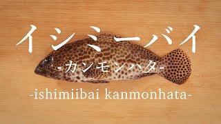 イシミーバイ カンモンハタ のさばき方 How To Filet Honeycomb Grouper 日本さばけるプロジェクト 海と日本プロジェクト Youtube