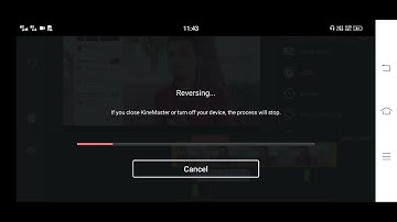 Kinemaster Reverse Options 🔥