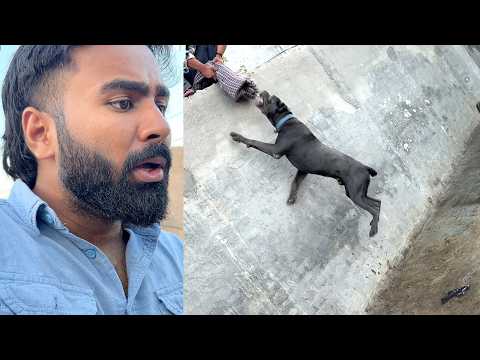 Panther ki training Karwadi