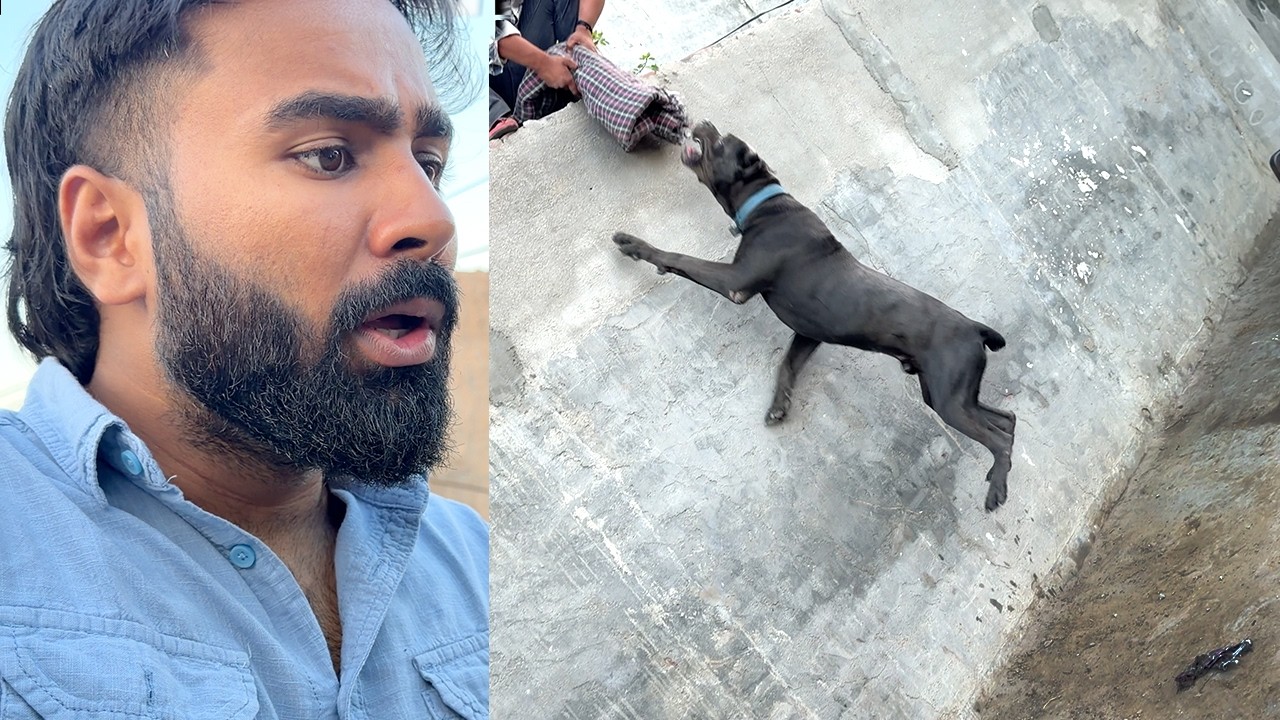 Panther ki training Karwadi