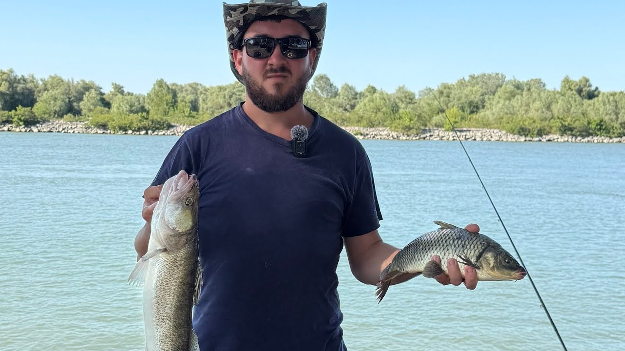 În căutarea peștilor de talie mare pe Sulina🎏🎣🎣
