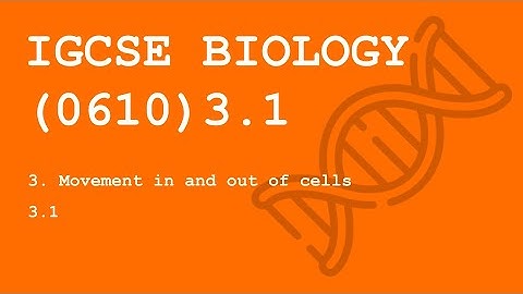 3.1 Movement in and out of cells [Theory] - IGCSE Biology
