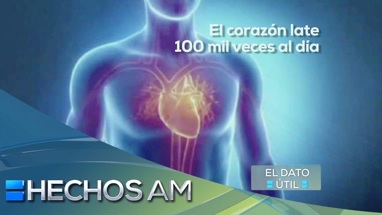 El dato útil - El corazón late 100 mil veces al día - YouTube