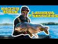 Karpių žvejyba. Laumena - 7 sektorius. (Carp Fishing @ Laumena)