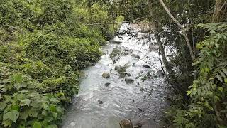 Alunan sungai yang mendamaikan
