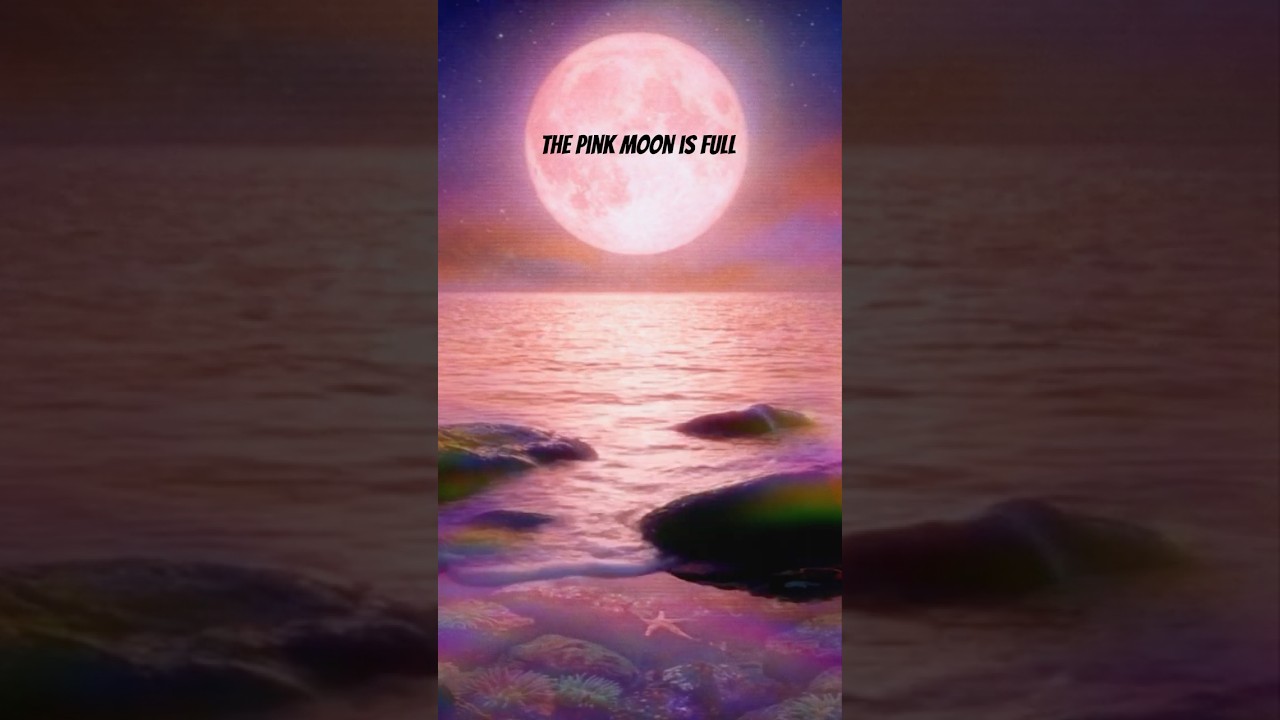 📞 @TheMeditationHotline Retro April Pink Moon Meditation #analogvibes #pinkmoon2026 #FullMoonRitual
