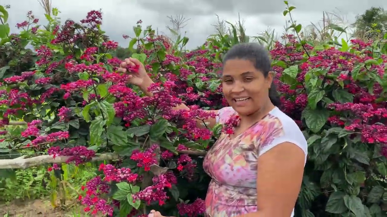 Mostrando a chácara da irmã