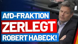 Regierungsbefragung: AfD-Fraktion zerlegt Robert Habeck!