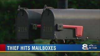 Bad guy steals neighborhood mail, uses data to get credit cards