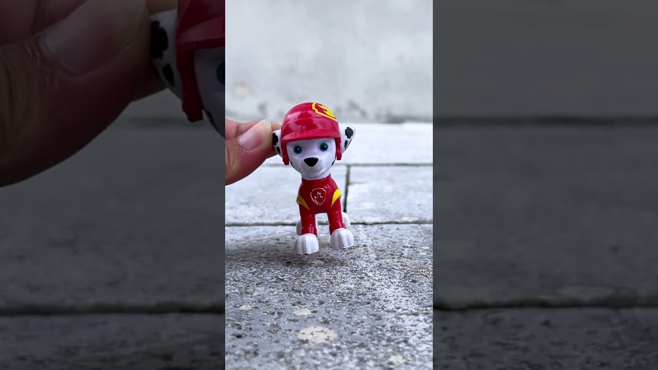 Satisfying with Unboxing Pawpatrol Wheels toys car Marshall vs Rubble, Skye and Crab 