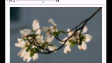 Photographic Orton Effect