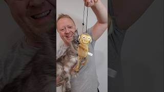 Aspens Meowijuana Review Catnip Cat Toy