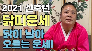 (인천점집)(소문난무당)2021년 신축년 닭띠 운세. 용띠, 쥐띠와 상생하는 띠, 복 받은 삼재. 닭이 날아…