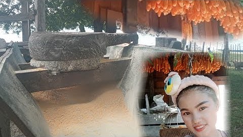 Hnub no mus zom pob kws los pub qaib os