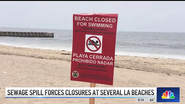 Sewage spill forces closures at several Los Angeles beaches - DayDayNews