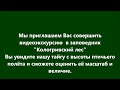 "Кологривский лес". Территория тайги