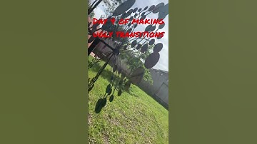 Making ugly transitions part 4😎👌💀#transition #memes #shorts #ugly