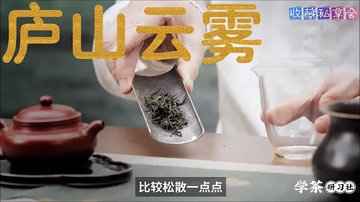 十大绿茶EP7：庐山云雾茶 - 天天要闻