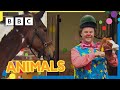 Mr tumble loves animals    30 minutes  mr tumble and friends
