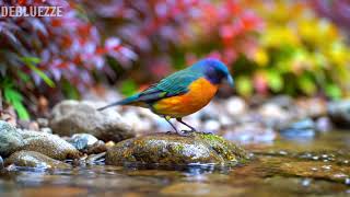 ?? LIVE: Spring Birds &amp; Relaxing Piano ??? Focus Music for Study &amp; Mindfulness