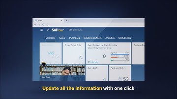 SAP Business One Web Client – Overview
