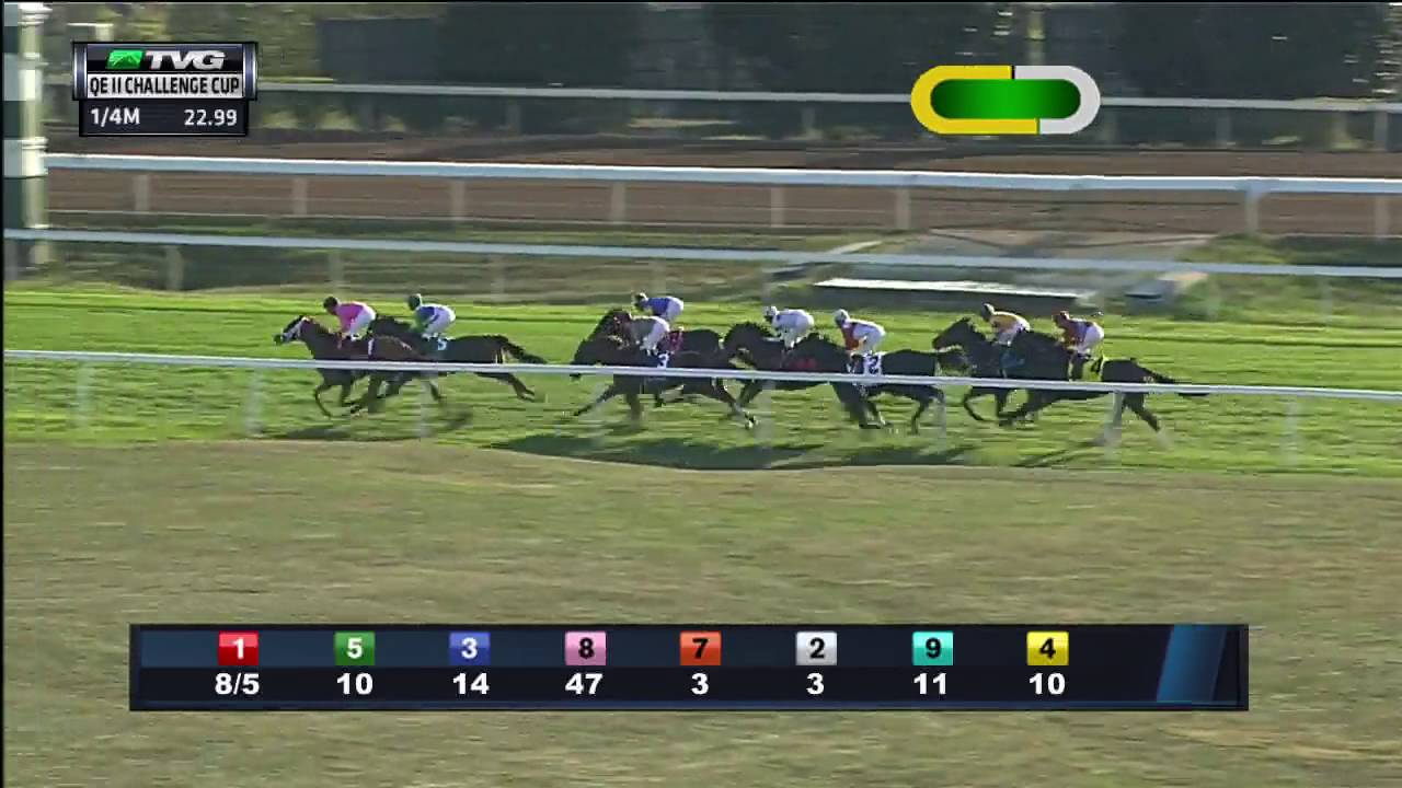 RACE REPLAY: 2016 Queen Elizabeth II Challenge Cup Featuring Time and Motion