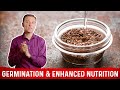 How to germinate seeds and nuts fast  dr berg