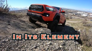 2023 Tacoma TRD Pro Off Road Test