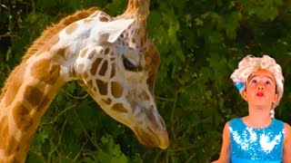 Know Your Animals | Kiddyzuzaa | Videos for Kids by Kiddyzuzaa: Princesses In Real Life - WildBrain 102,745 views 1 year ago 31 minutes