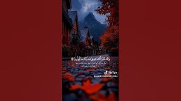 القرآن الكريم تلاوه خاشعة  #استمع_الآن #المصحف #اكسبلور #لايك #حلات #duet #تيك_توك