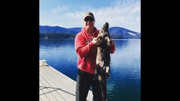 Open water otter trapping on dock-Catch on last day of Season!!