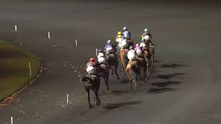 Vidéo de la course PMU PRIX ARIADNE