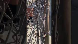 Trendy Scooter Kids Be Like