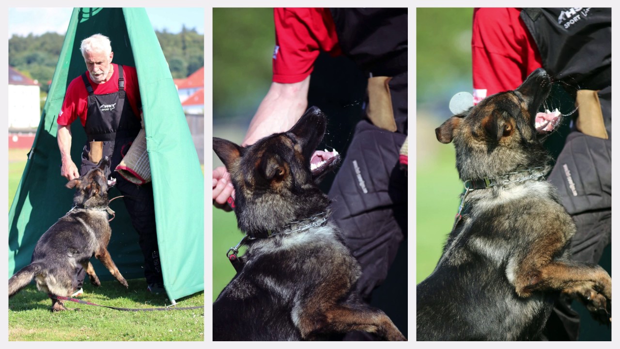 Das Jahr 2016 im RSV2000