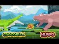 Crocodile vs hippo  carnivores vs herbivores s1  animal animation