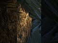 Best Rathole On The Center | ARK