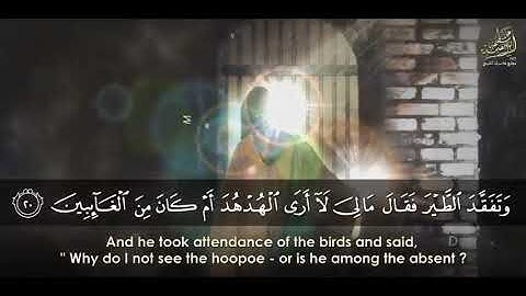 وتفقد الطير فقال ما لي لا أرى الهدهد.. |سورة النمل ....تلاوة خاشعه #بصوت الشيخ عبدالباسط عبد الصمد #