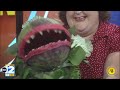 'Little Shop of Horrors' with Fenton Village Players